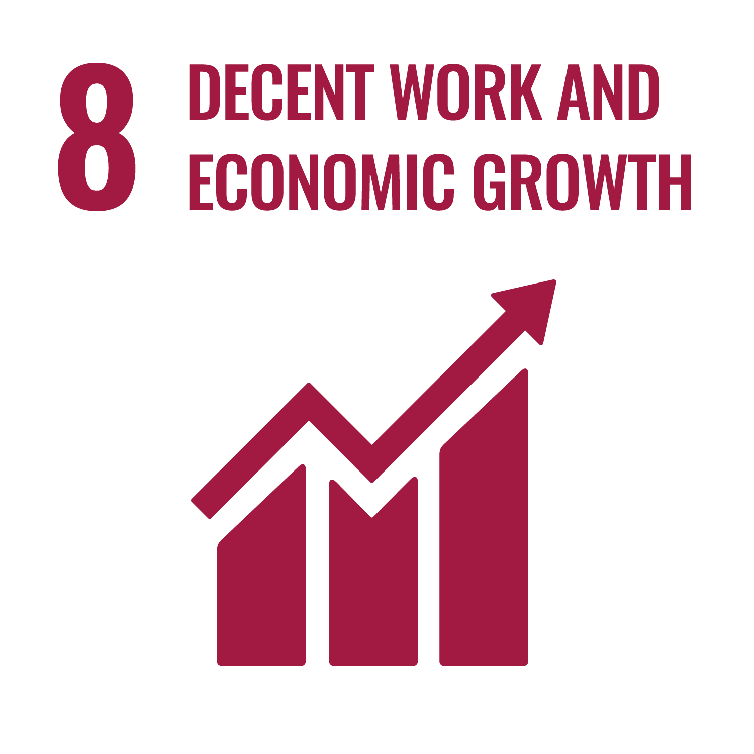 SDG 08